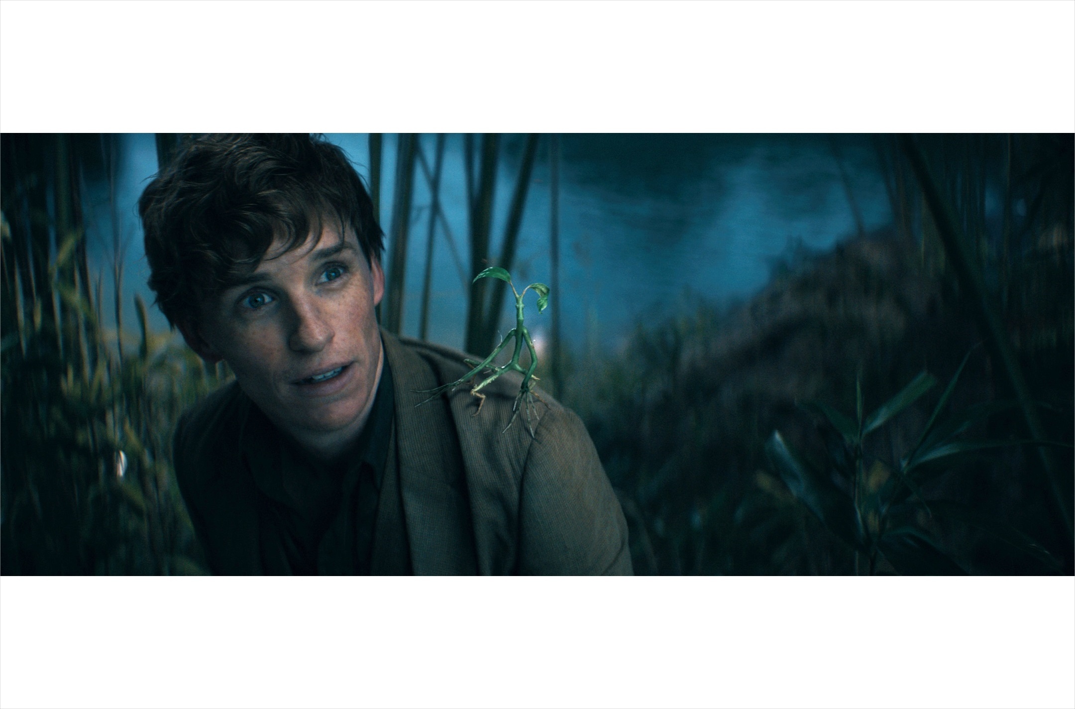 7cb1b487a70441ef0f0175ba2e0b86