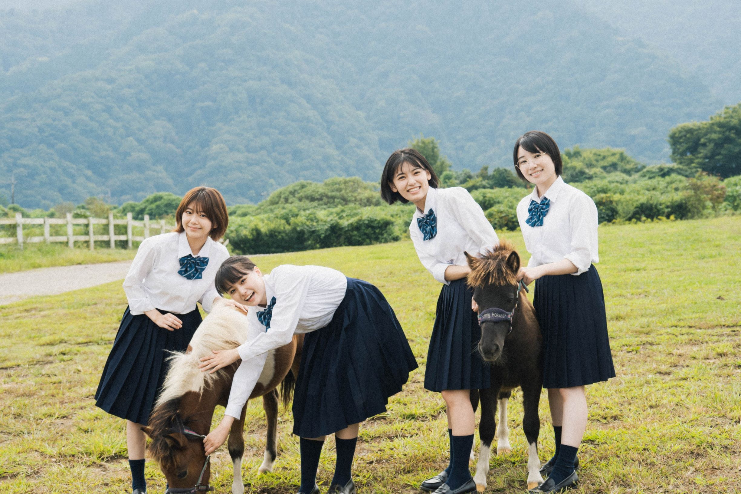 ★めざめ★映画パンフレット★当時物★ドイツ女子高校生の生態を映画に★66年保存★ 農業高校を舞台に女子高生たちが躍動する 畜産系青春映画！ 映画